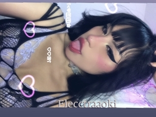 Elecctraaoki