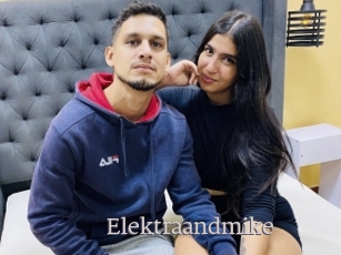 Elektraandmike