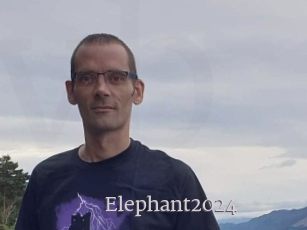 Elephant2024