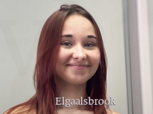 Elgaalsbrook