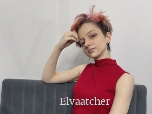 Elvaatcher