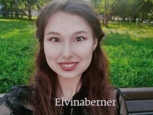Elvinaberner