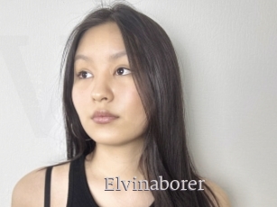 Elvinaborer