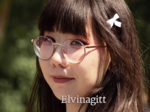 Elvinagitt