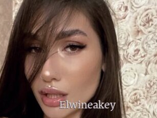Elwineakey