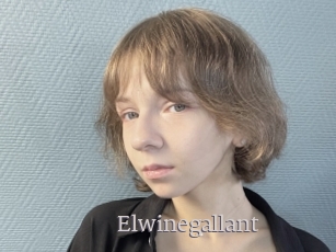 Elwinegallant