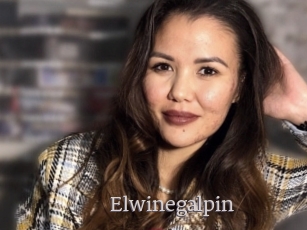 Elwinegalpin