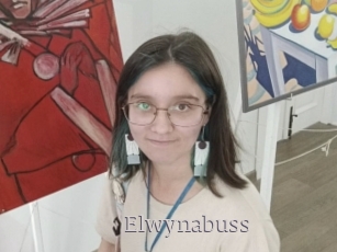 Elwynabuss