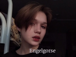 Engelgorse