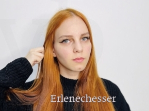 Erlenechesser
