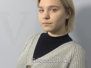 Erlenehallock