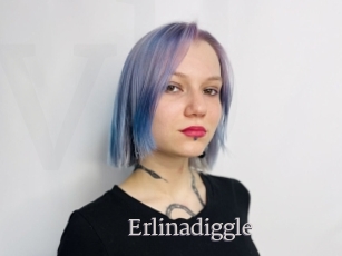 Erlinadiggle