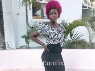 Eunifix