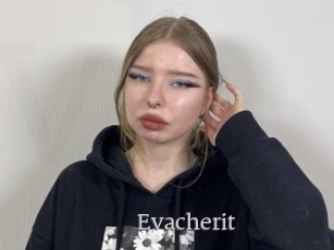 Evacherit