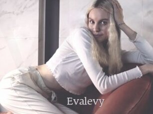 Evalevy