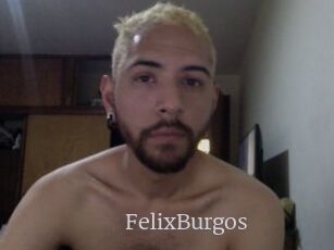 FelixBurgos