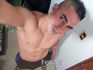 Fenix_S