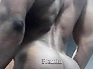 Flamin
