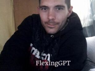 FlexIngGPT