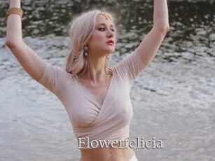 Flowerfelicia