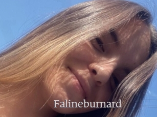 Falineburnard
