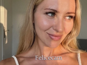 Felicecam