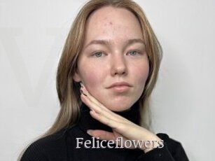 Feliceflowers