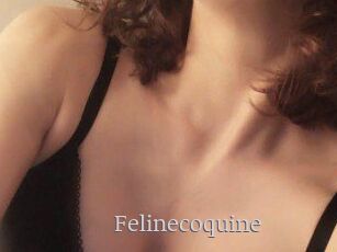 Felinecoquine
