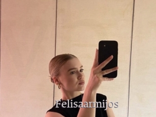 Felisaarmijos