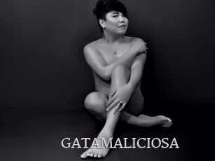 GATAMALICIOSA