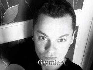 Gayminet