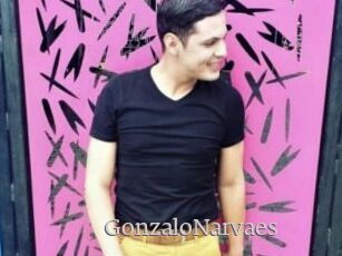 GonzaloNarvaes