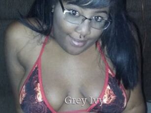 Grey_Ivy