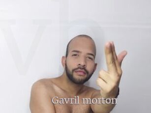 Gavril_morton