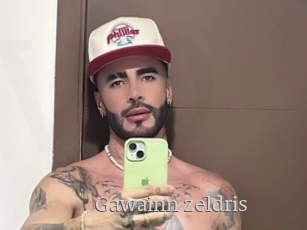 Gawainn_zeldris