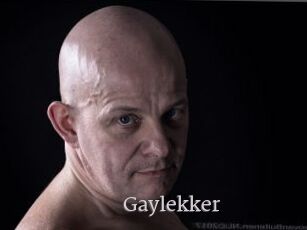 Gaylekker