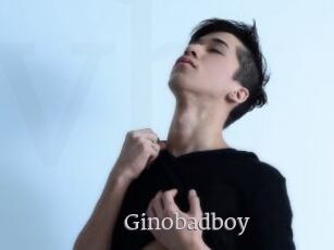 Ginobadboy