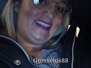 Grosseins88