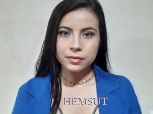HEMSUT