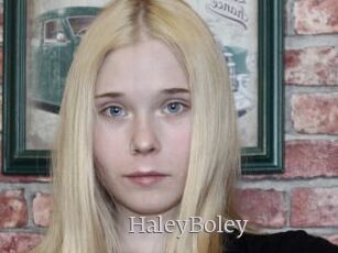 HaleyBoley