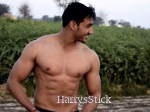 HarrysStick