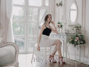 HeyleyNice