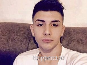 Hopperr100