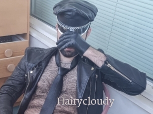 Hairycloudy