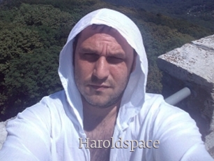 Haroldspace