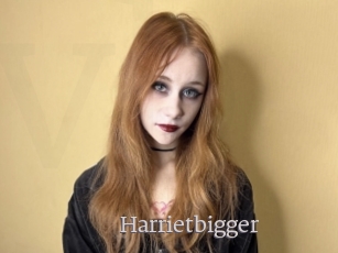 Harrietbigger