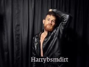 Harrybsmdirt