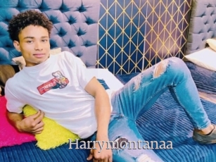 Harrymontanaa