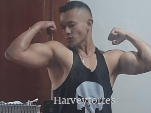 Harveytorres