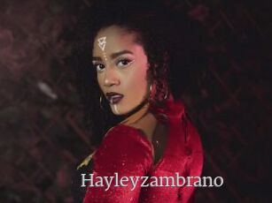 Hayleyzambrano